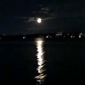 Meet your Posher, Zach